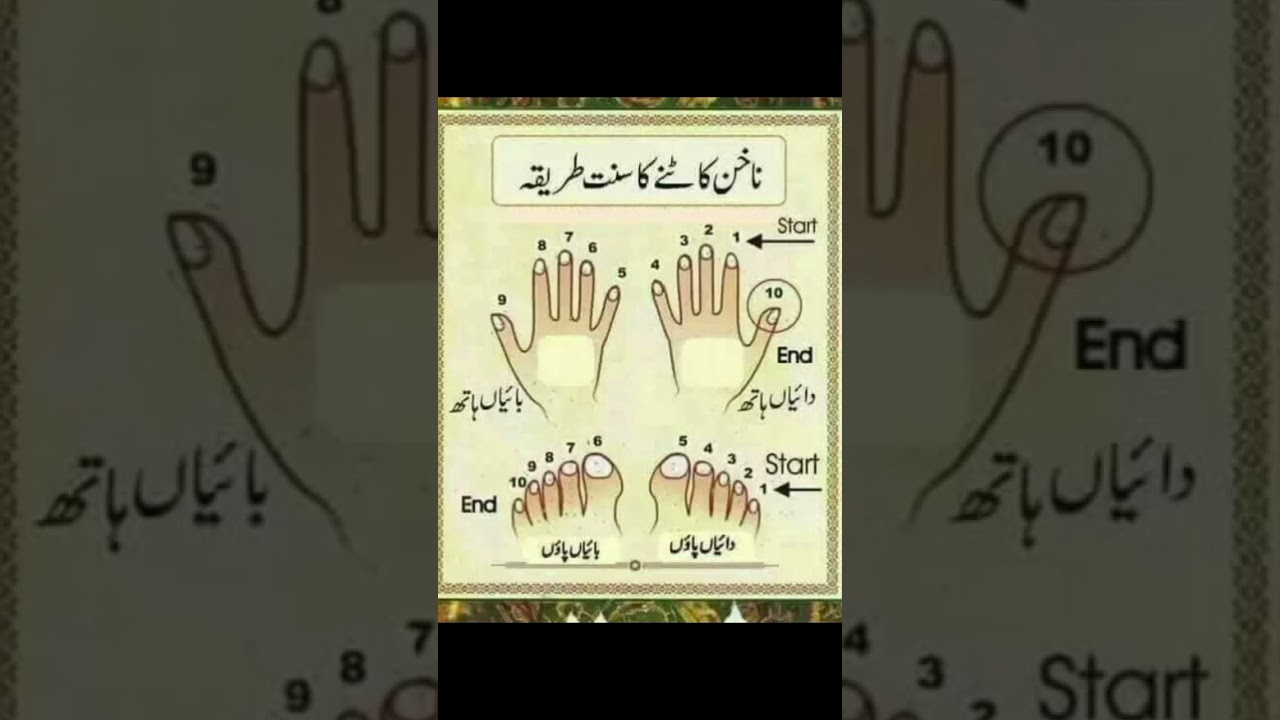 nakhun katne ka tarika | #youtubeshorts #youtube #sunnat #islam #shorts