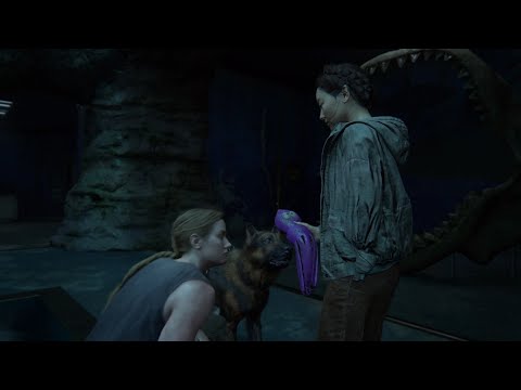 The Last of Us™ Part II - Chapter 36: Return to the Aquarium (Playthrough + Trophies + Collectables)