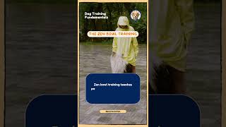 🍲 The Zen Bowl Training Impulse control around food. Zen bowl teaches patience during feeding.