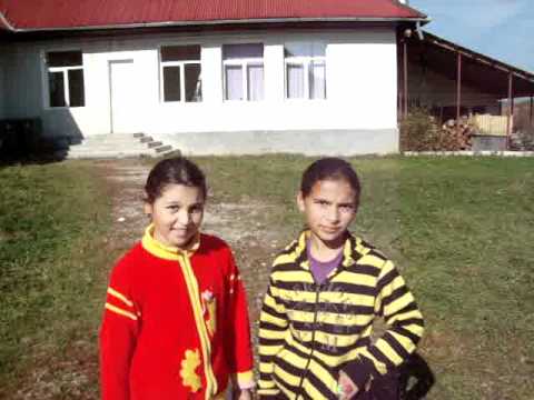 Let's do it la Petreştii de Jos