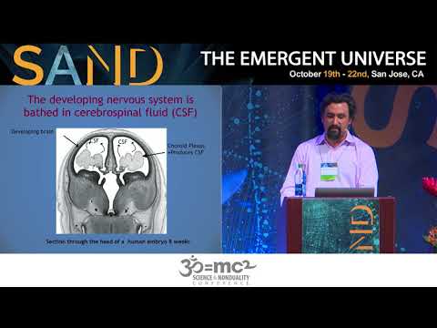 Does Our Cerebrospinal Fluid Give Us Being? Mauro Zappaterra