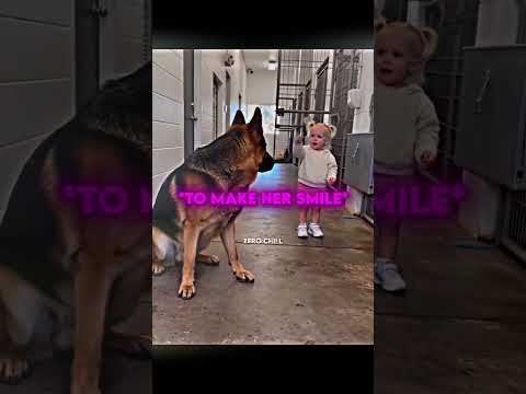 Dog Pure Kindness ❤️‍🩹 #shorts #viral