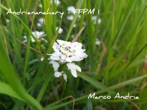 Andriananahary FFPM 1 - Holy holy holy - Louange instrumentale Malagasy