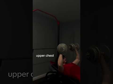 Winter Bulk Day 22: Push #motivation #gymmusic #aesthetic #gym #trending #pushday #chest #hiphop #yo