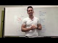 Muscle Tissue