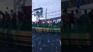 Download lagu cara Penangkapan ikan nelayan Muncar Banyuwangi mp3