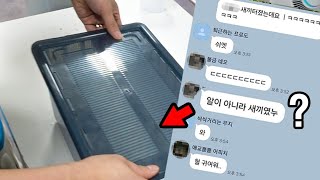 대박!!! 직원들 난리났길래 달려왔더니....구더기인가 했는데 대박났습니다!!! 드디어 성공했습니다