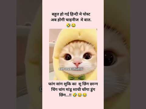 😹😹 Cute cats#shortsfeed​ #funnyvideo​ #comedy #viralshorts #memes #shorts