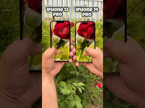 Iphone 13 Pro vs Iphone 14 Pro Camera Test #apple #iphone #shorts
