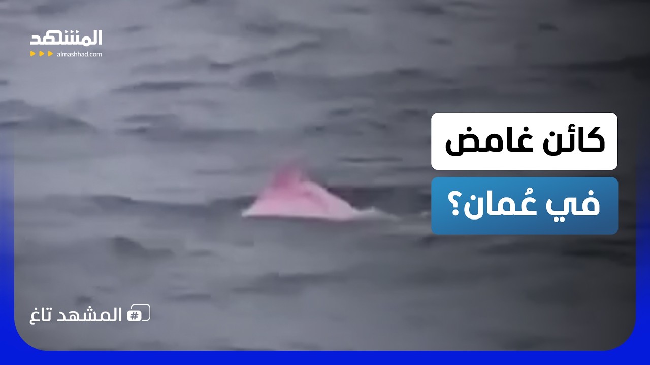 ليس دولفين الأمازون.. سرّ الكائن الوردي الذي ظهر قبالة عُمان!  - المشهد تاغ