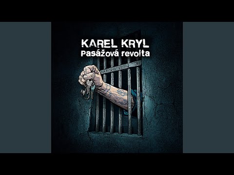 Pasážová revolta