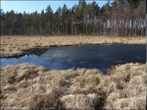 Ulf Krüger - Dr. No - 1989