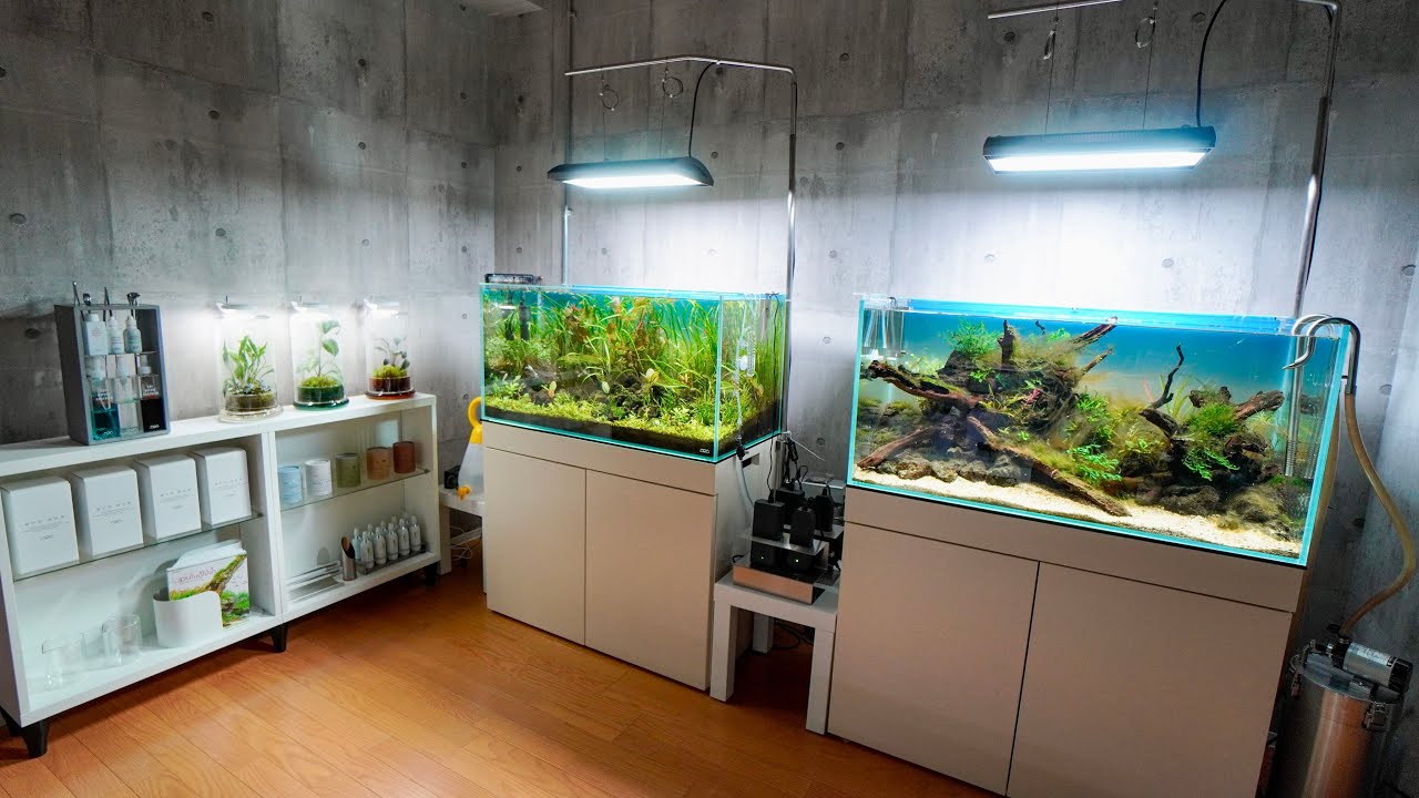 SMALL but AMAZING AQUASCAPING GALLERY TOUR!