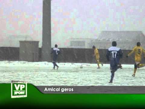 Amical geros