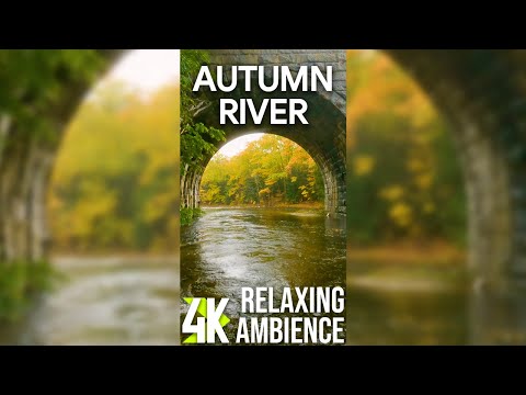 4K Relaxing Atmosphere of Autumn Rainy Day for Vertical Screens - Calming River Sound for Deep Sleep