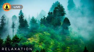 🔴 Fall Into Deep Sleep Easily! Best Relaxing Music for Sleep & Healing Meditation | Insomnia Relief thumbnail