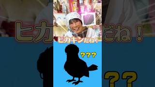 【超難問】ヒカキン大好きおばあちゃんがポケモン当てクイズ挑戦したら難しすぎたwww