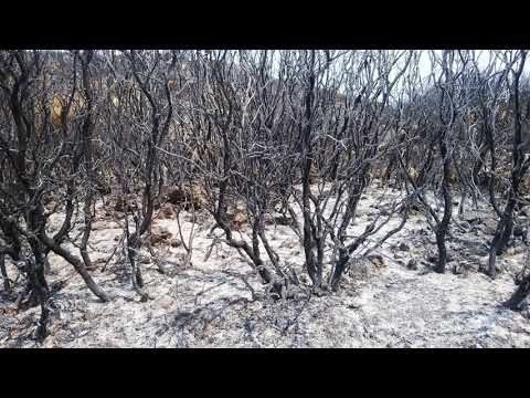 Alex Parker feat. Misha Miller - Fix Your Heart