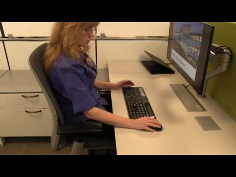 IDEXX Ergo Training