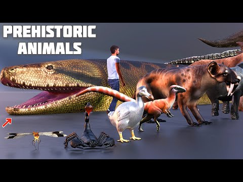 prehistoric animals size comparison  | cenozoic beasts size comparison