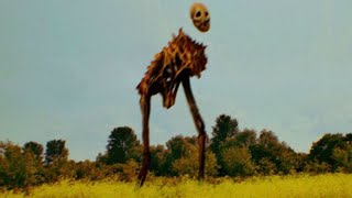 Creepypastas para tener mientras cuentas chistes para levantar el ánimo, pero te sacan del funeral