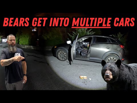 Cars Are On The Menu Tonight! | Winching & PD Calls