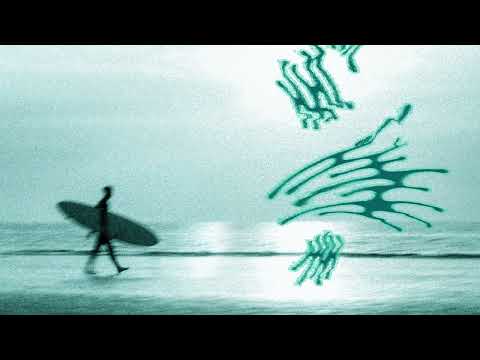 Lost in Pacific & Robertson - Coves