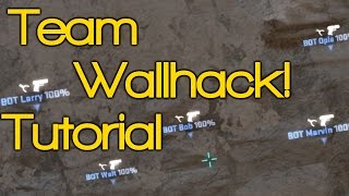 CS:GO FRIENDLY WALLHACK - How To See Teammates Through Walls