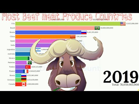 Most Beef Meat Produce Countries 1962-2019 || Data Is Beautiful ||