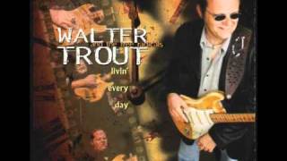 Walter Trout - Fool For Love