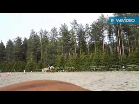 Siiri ja Pyry 28.5.2017