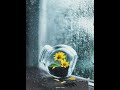 Pookal Pookum ️ Whatsapp Status