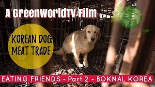 "EATING FRIENDS" - KOREAN BOKNAL DOG MEAT INDUSTRY