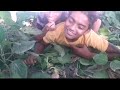Devra Bada Satawela Bhojpuri Film Desi