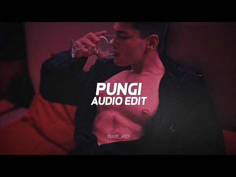 pungi「edit audio」