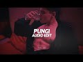 Pungi Edit Audio