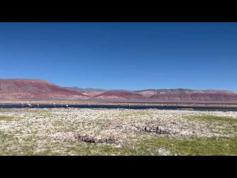 Antofagasta de la Sierra