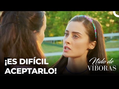 ¡Elvan Está Enamorada De Ejder!  - Nido De Víboras