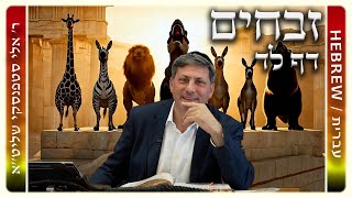 מרכז דף יומי - זבחים דף לד. - ר' אלי סטפנסקי שליט"א