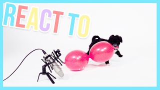 Puppy Frenkie VS a BIG Balloon! - Animals react to | Furry Friends