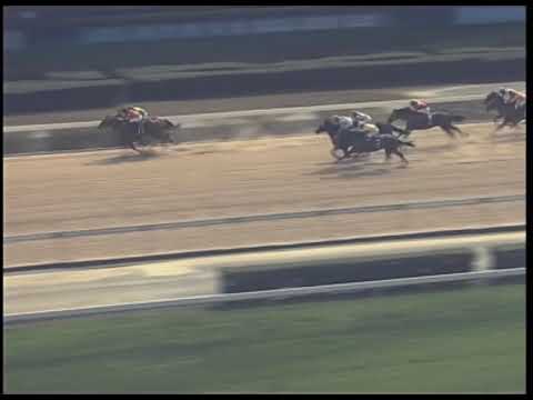 2019-02-16 Race 2(0152) - THE PROSPERITY