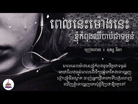ពេលនេះម៉ោងនេះខ្ញុំកំពុងឈឺចាប់ជាទម្ងន់​ -​ សុគន្ធ​ នីសា​「AUDIO​ LYRIC」