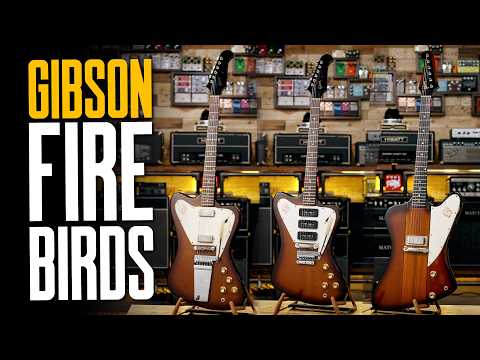Let’s Talk About Gibson Firebirds… With Dave Gregory!
