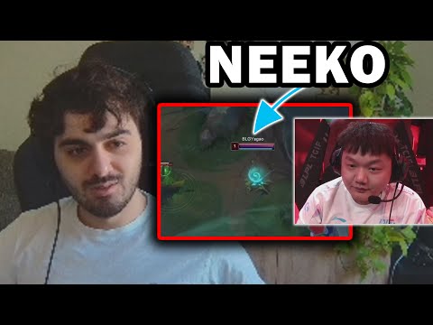 Das erste gute NEEKO PLAY IN PRO PLAY