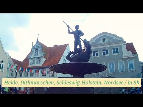 Heide, Dithmarschen, Schleswig-Holstein, Nordsee, Deutschland