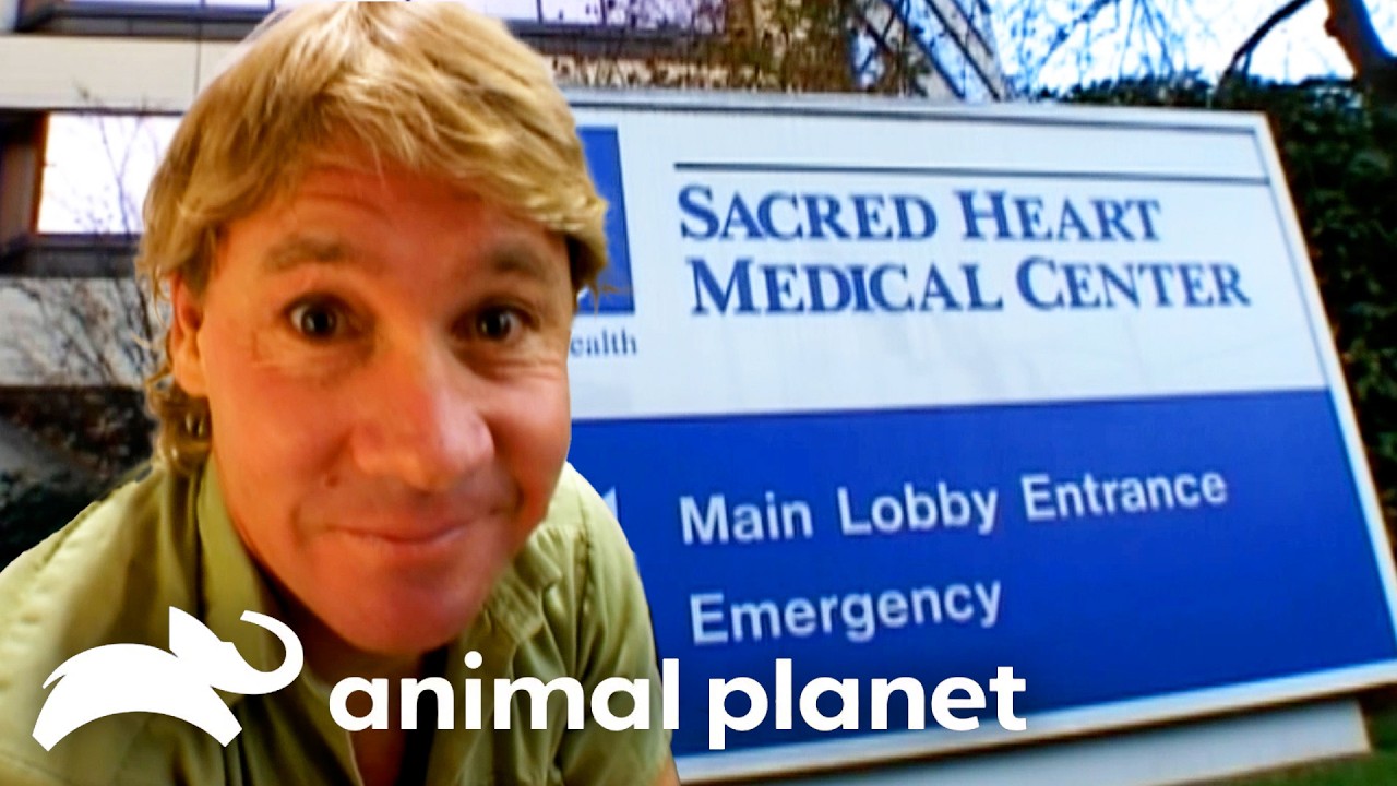 The Croc Hunter Needs a Check-Up! | Crocodile Hunter | Animal Planet