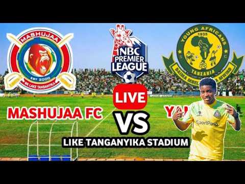 🔴#LIVE:MASHUJAA FC  ( 0 ) v ( 1 )  YANGA SC | LIGI KUU NBC | LAKE TANGANYIKA KIGOMA