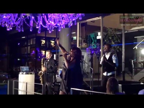 Terri B! Green's Diamond Nights