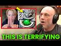 JRE World S Smartest Kid Reveals CERN Opened A Portal To Another Dimension
