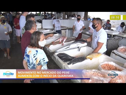 Movimento no Mercado do Peixe aumenta com início da Quaresma 19 02 2021